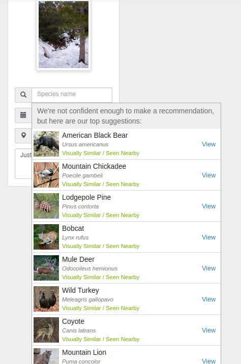 Thumbnail of a pine tree in snow, with a dropdown menu for species name: "We're not confident enough to make a recommendation, but here are our top suggestions: American Black Bear, Mountain Chickadee, Lodgepole Pine, Bobcat, Mule Deer, Wild Turkey, Coyote, Mountain Lion"