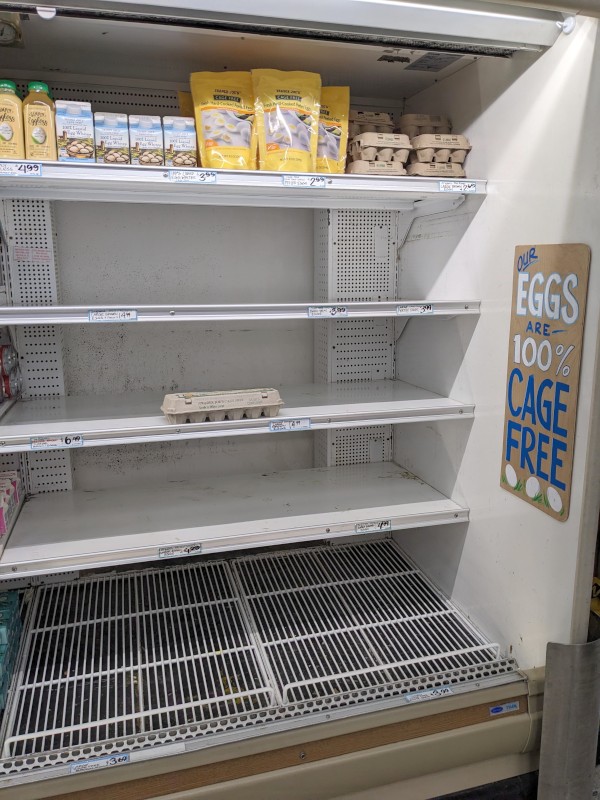 Empty refrigerated case, one lone carton of eggs in the middle, with a sign saying EGGS 100% CAGE FREE