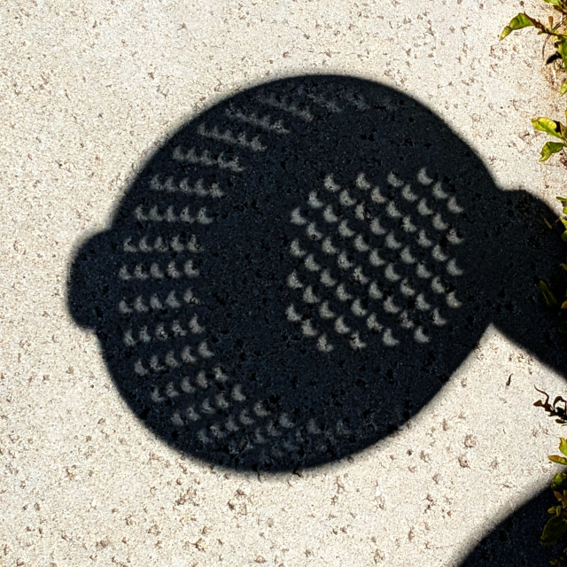 Circular shadow on the sidewalk, with lots of bright crescents inside, all facing the same direction.