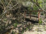 A short wooden footbridge with only one railing spans a very small stream, surrounded by scraggly-looking trees.