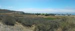 A wide, flat area of mostly dry grass and some scrub, with a scrubby hill to the left and the ocean to the right. Dirt roads cross the flat area, and clumps of darker green trees are visible on the ocean side of the plain.